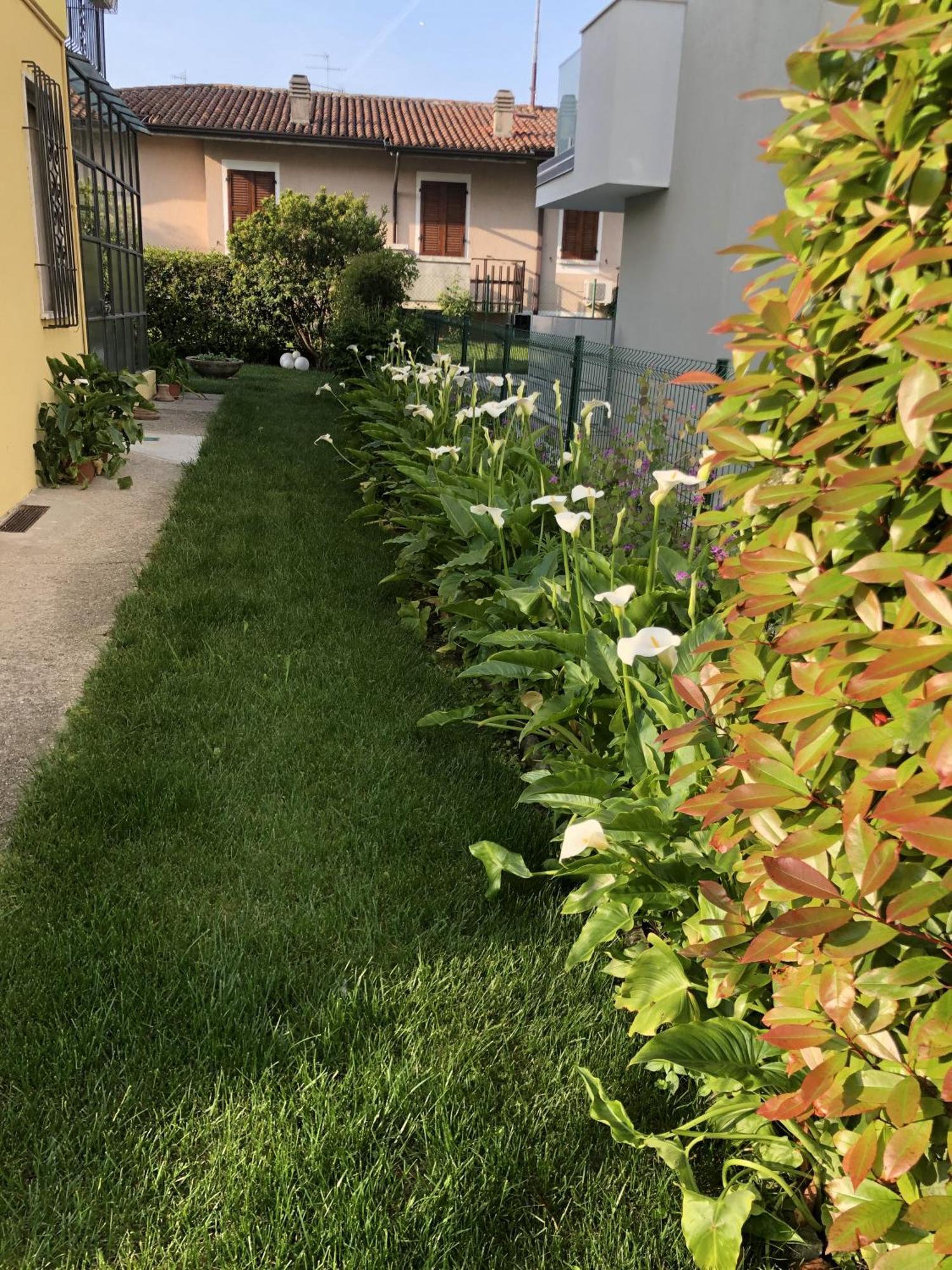 Casa Sivori Sul Lago Di Garda Con Ampio Giardino Ντεζεντσάνο ντελ Γκάρντα Εξωτερικό φωτογραφία